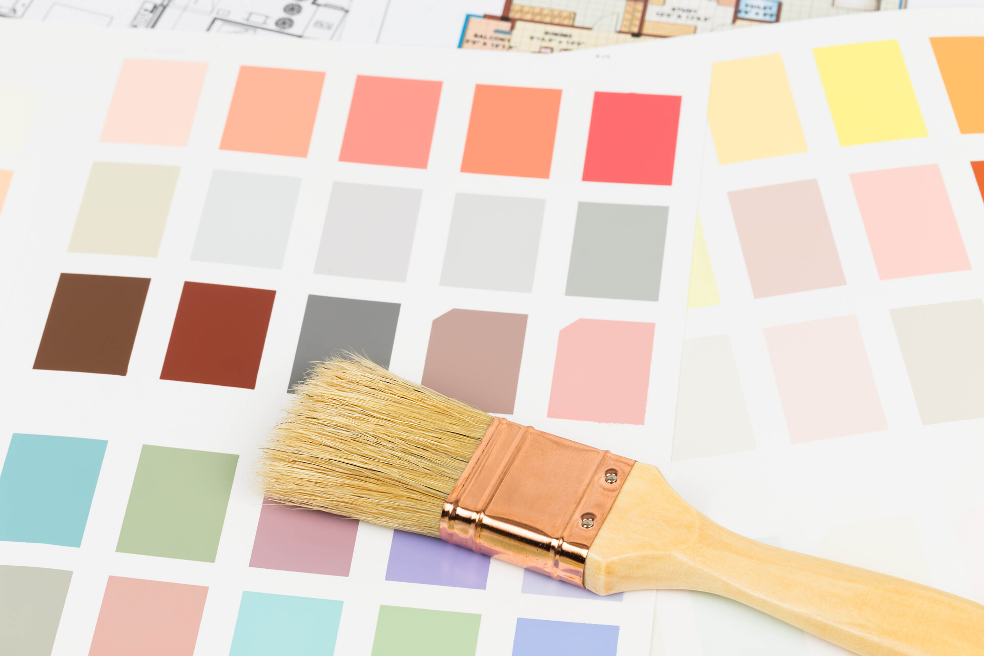 Paint color sample catalog with brush and drawing
